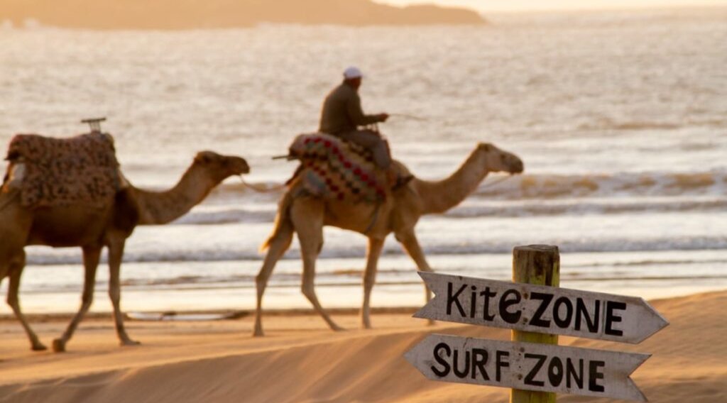 The Zen One - A ONEYOGAHOUSE Retreat: October 11 - 18, 2025