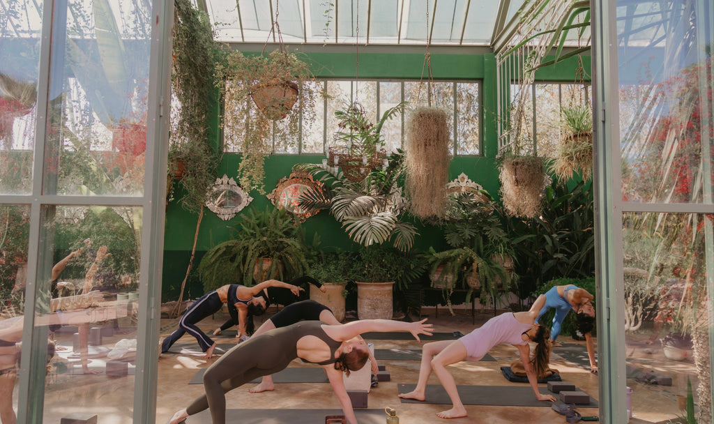 Ultimate Oasis Retreat: Sept 25 - Oct 1, 2026