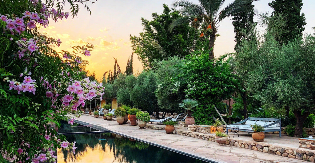 KLARITY Mindsette RESET Morocco Retreat: August 28 - September 4, 2026