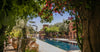 WANDER - Morocco Retreat Experience: April 8 - 15, 2027