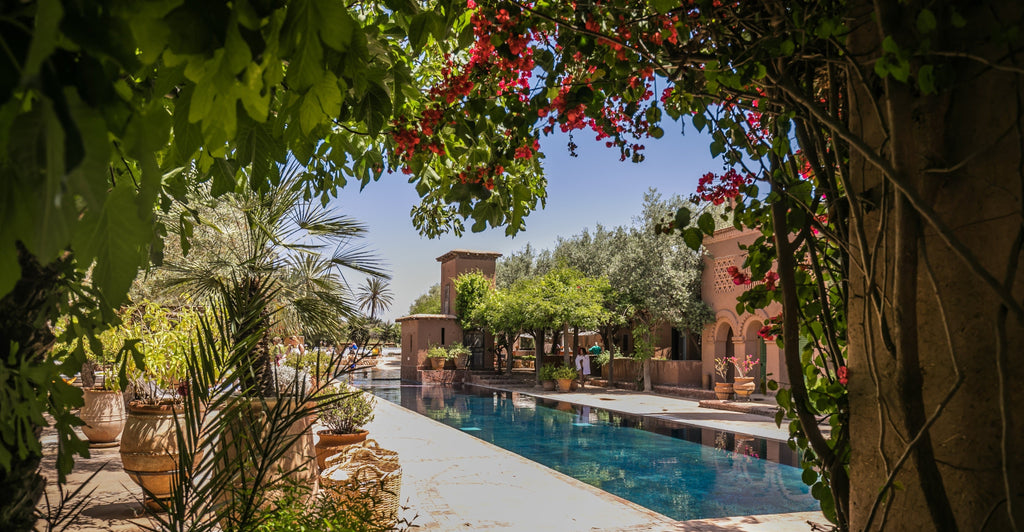 WANDER - Morocco Retreat Experience: April 8 - 15, 2027