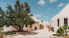 Nourish & Balance - An Immersive Yoga & Wellness Retreat in Morocco: May 15 - 21, 2026
