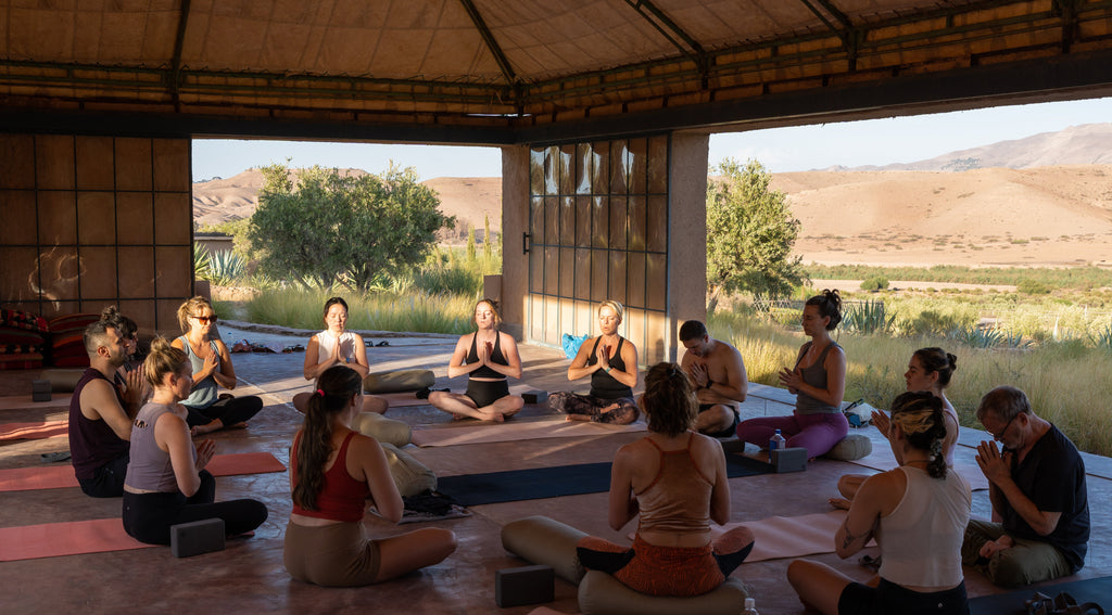 Grounded In Gratitude: October 3 - 10, 2025
