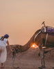 Shifting Shapes & Finding Your Desert’s Edge: A Week of Yoga & Adventure in Morocco: March 3 - 10, 2024