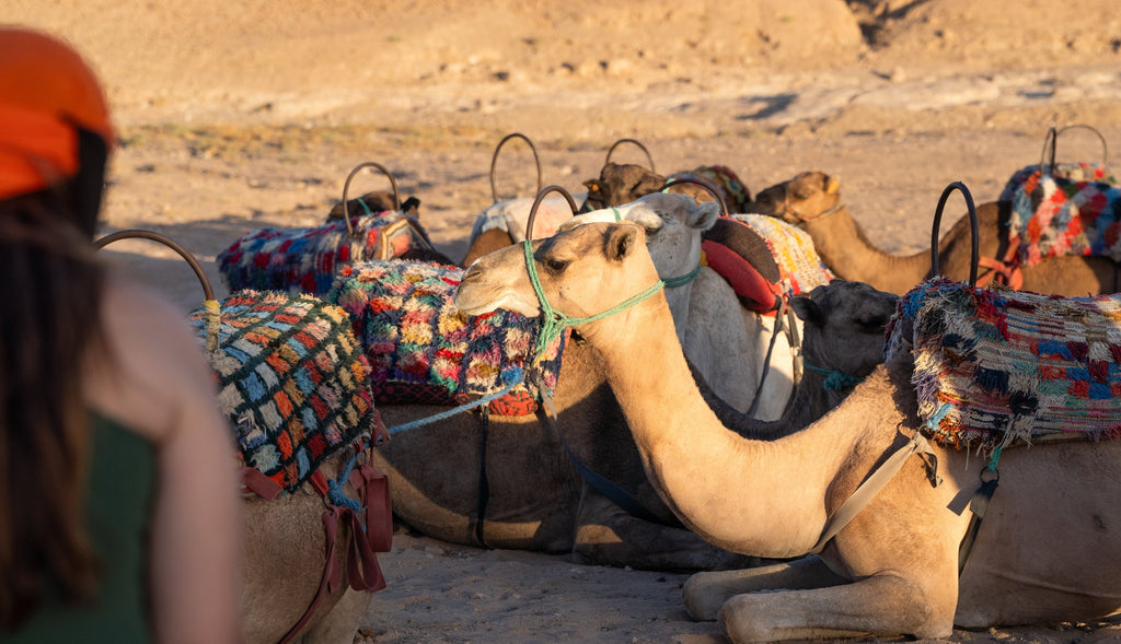 Nourish & Balance - An Immersive Yoga & Wellness Retreat in Morocco: May 15 - 21, 2026