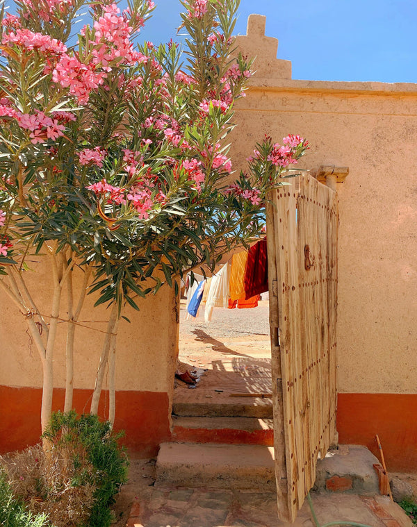Retreat to the Moroccan Desert: April 26 - May 2, 2025