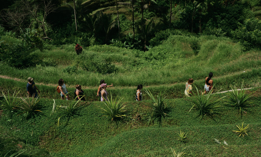 The Bali Retreat - Intentional Yoga x Qarrya: May 22 - 29, 2027