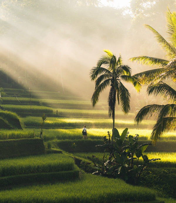 Bali Magic Retreat: November 12 - 19, 2026