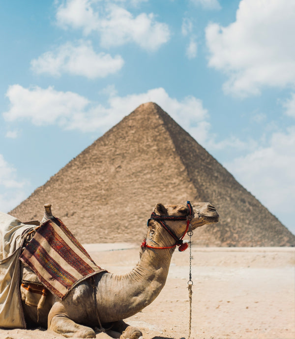 Flow Adventures Egypt Retreat: March 24 - April 2, 2027
