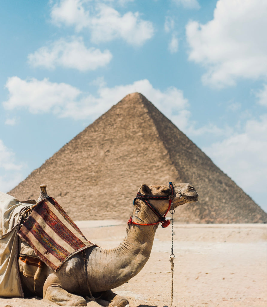 Flow Adventures Egypt Retreat: March 24 - April 2, 2027