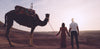 Moroccan Oasis Retreat: April 22 - 28, 2024