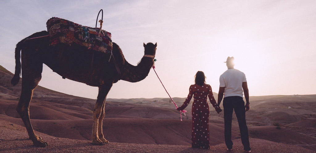 Moroccan Oasis Retreat: April 22 - 28, 2024