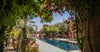 Moroccan Oasis Retreat: April 22 - 28, 2024